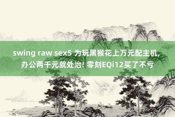 swing raw sex5 为玩黑猴花上万元配主机， 办公两千元就处治! 零刻EQi12买了不亏