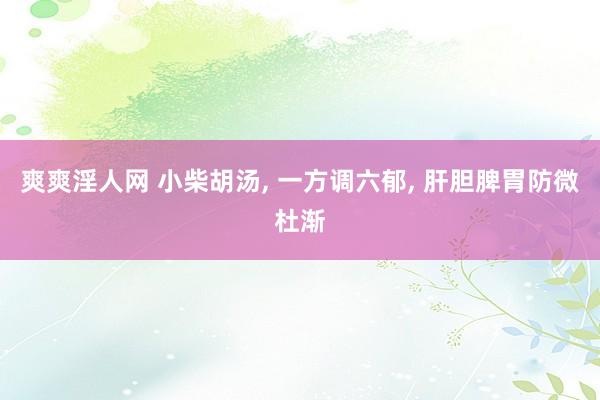 爽爽淫人网 小柴胡汤， 一方调六郁， 肝胆脾胃防微杜渐