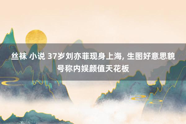 丝袜 小说 37岁刘亦菲现身上海， 生图好意思貌号称内娱颜值天花板
